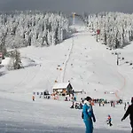 Ferienwohnungen Oberwiesenthal דירה אוברוויזנטל