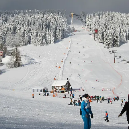 Ferienwohnungen Oberwiesenthal Apartment Oberwiesenthal